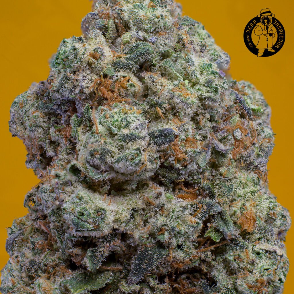 Cannabis Macro Photography