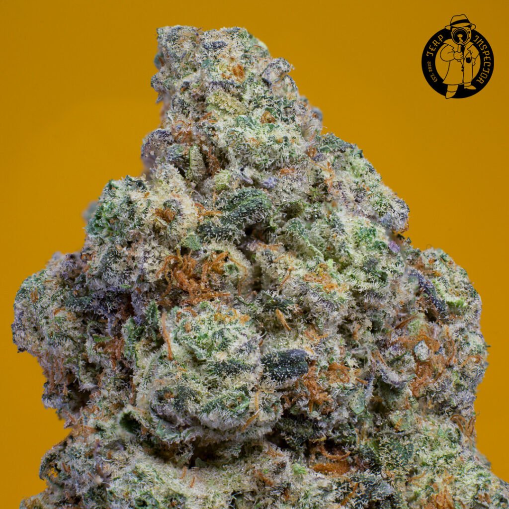 Cannabis Macro Photography