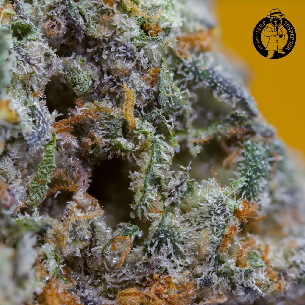 Cannabis Macro Photography