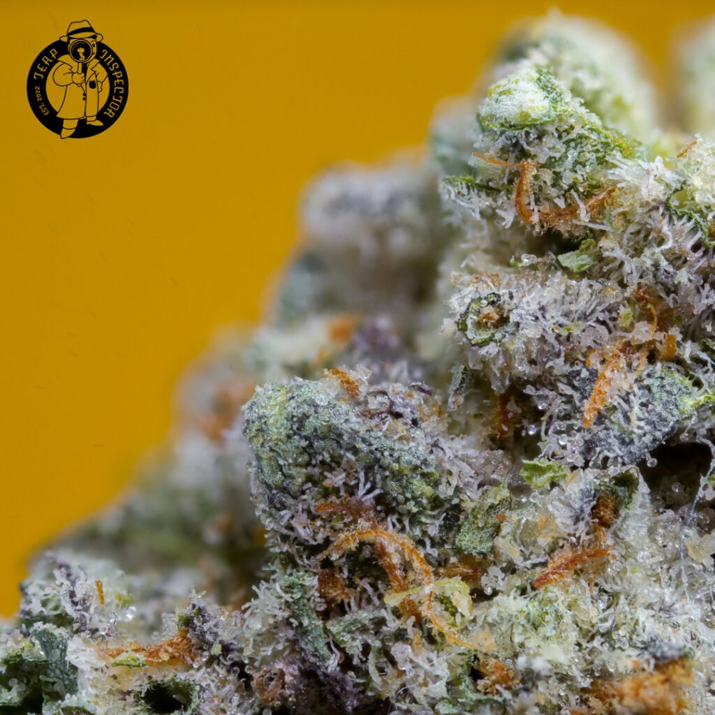 Cannabis Macro Photography
