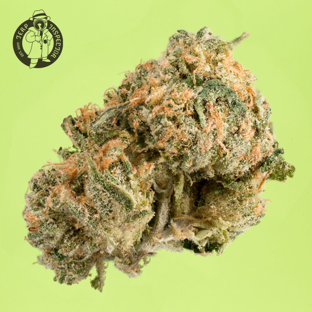 Cannabis Macro Photography Virginia