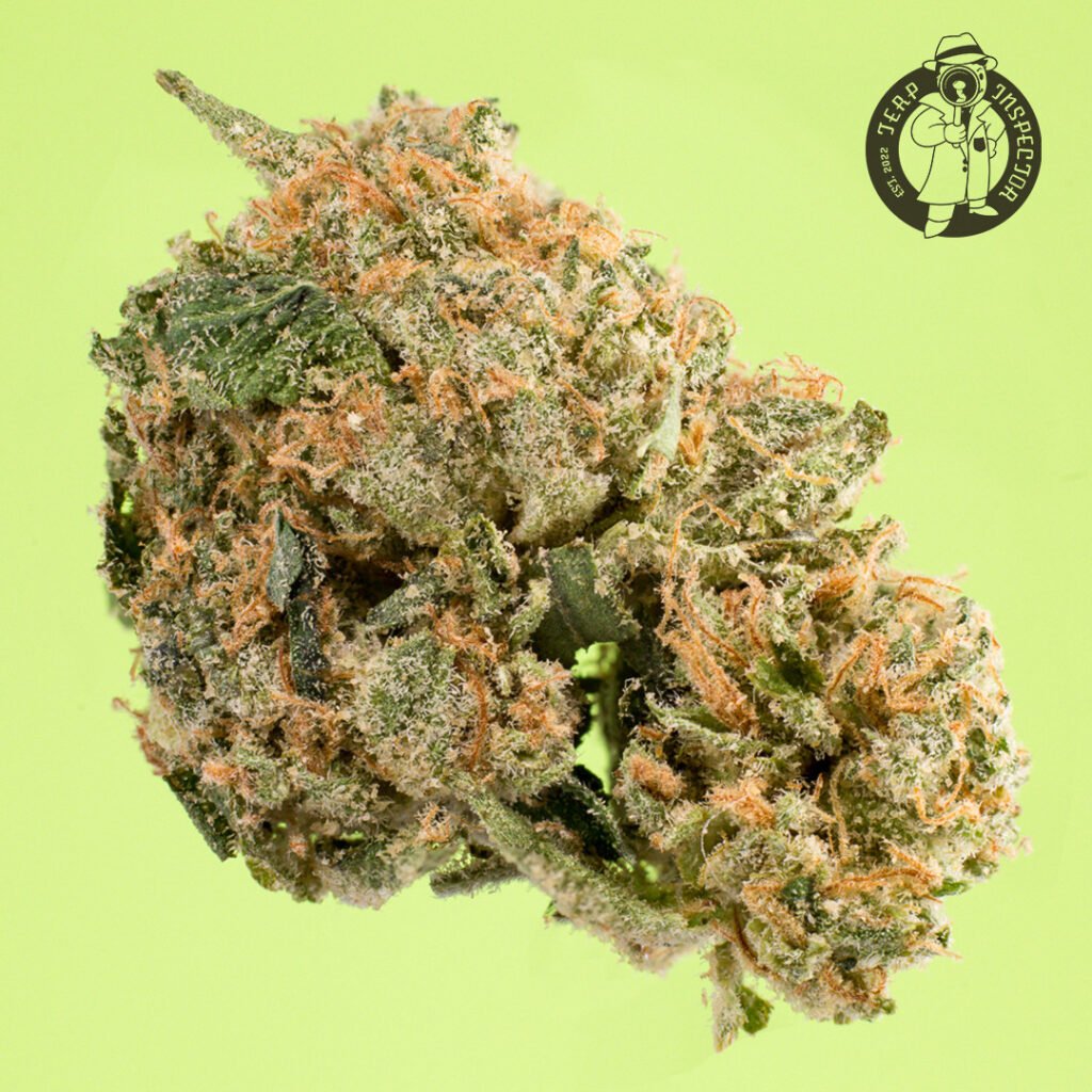 Cannabis Macro Photography Virginia