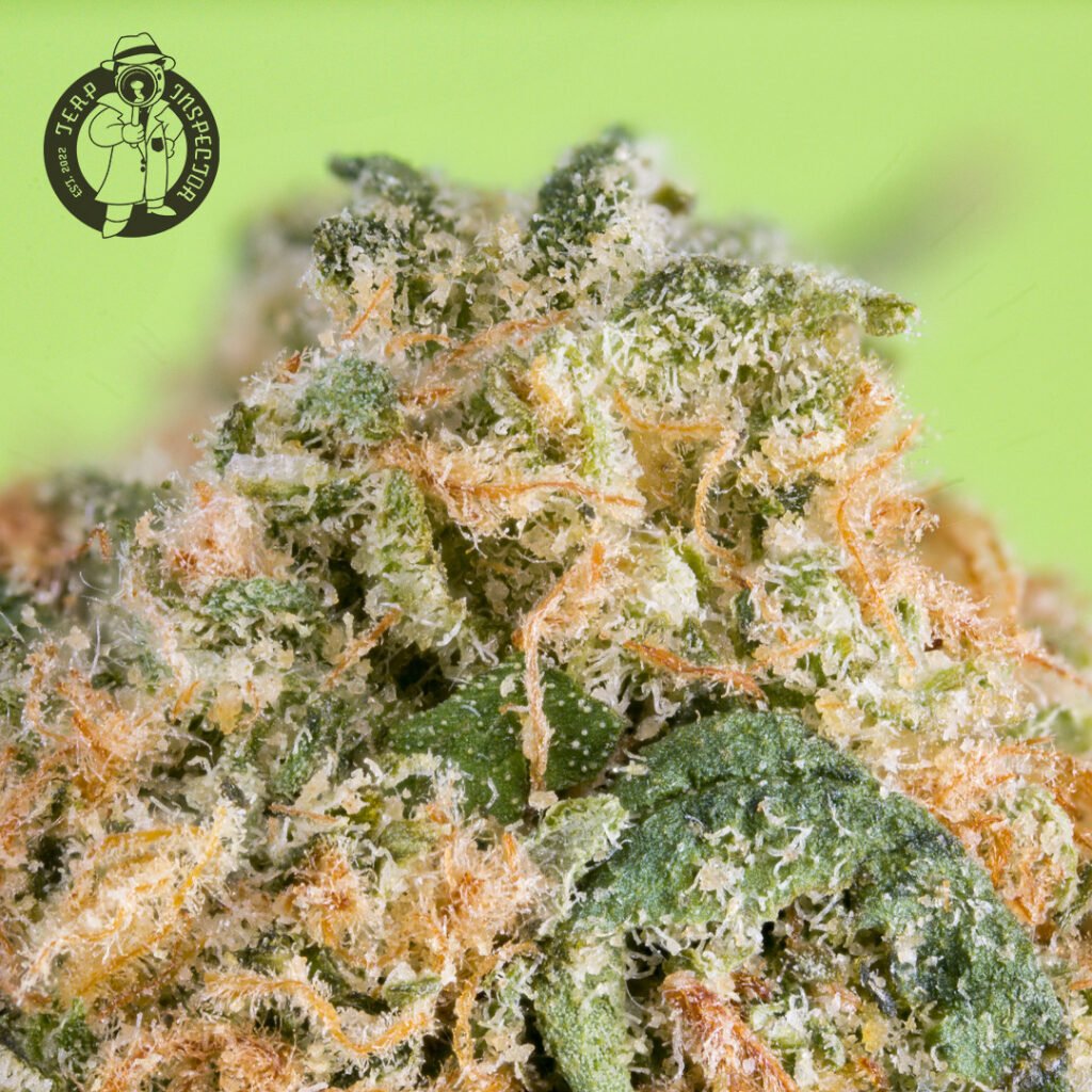 Cannabis Macro Photography Virginia