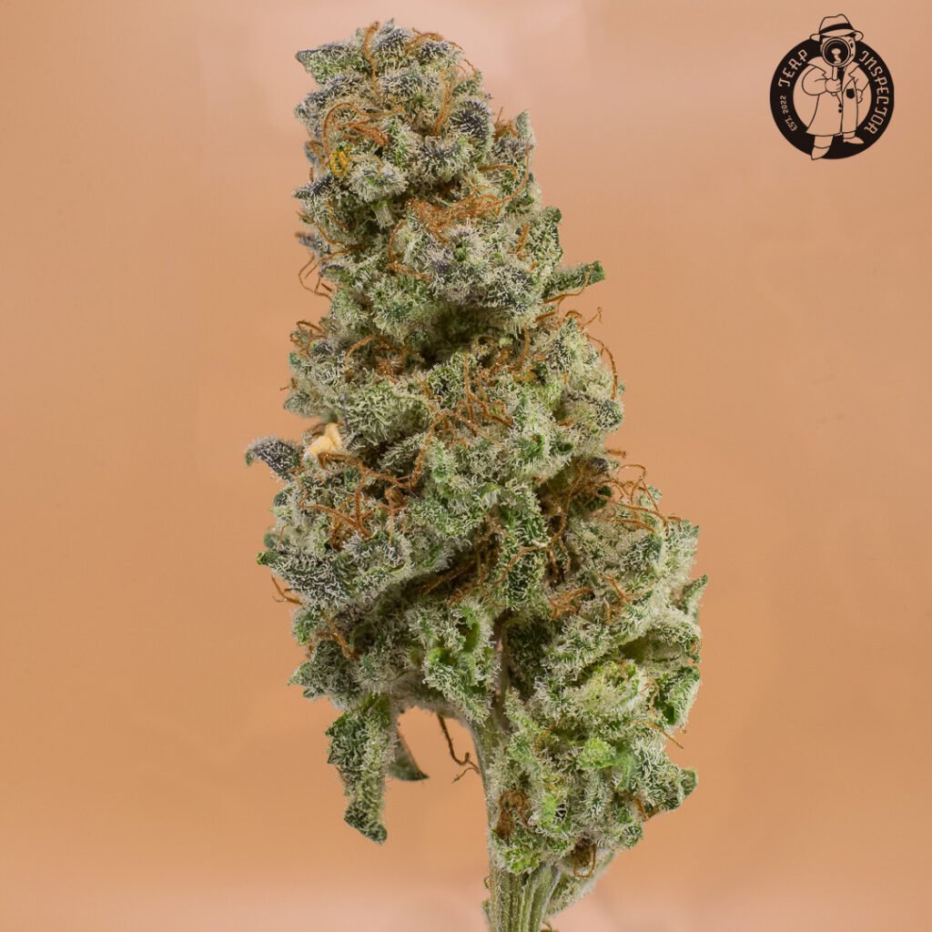 Cannabis Macro Photography