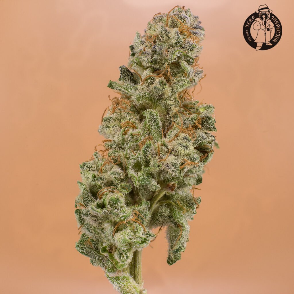 Cannabis Macro Photography