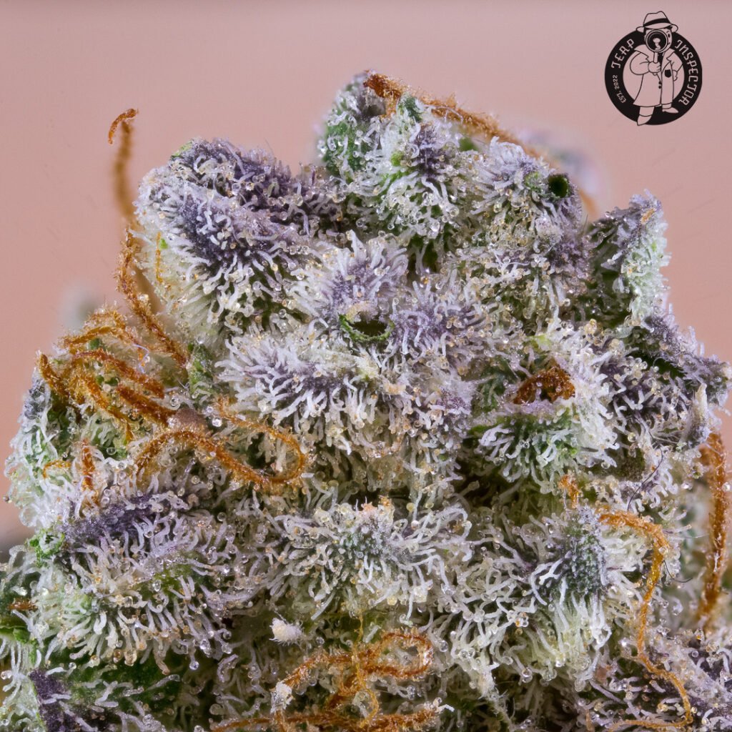 Cannabis Macro Photography