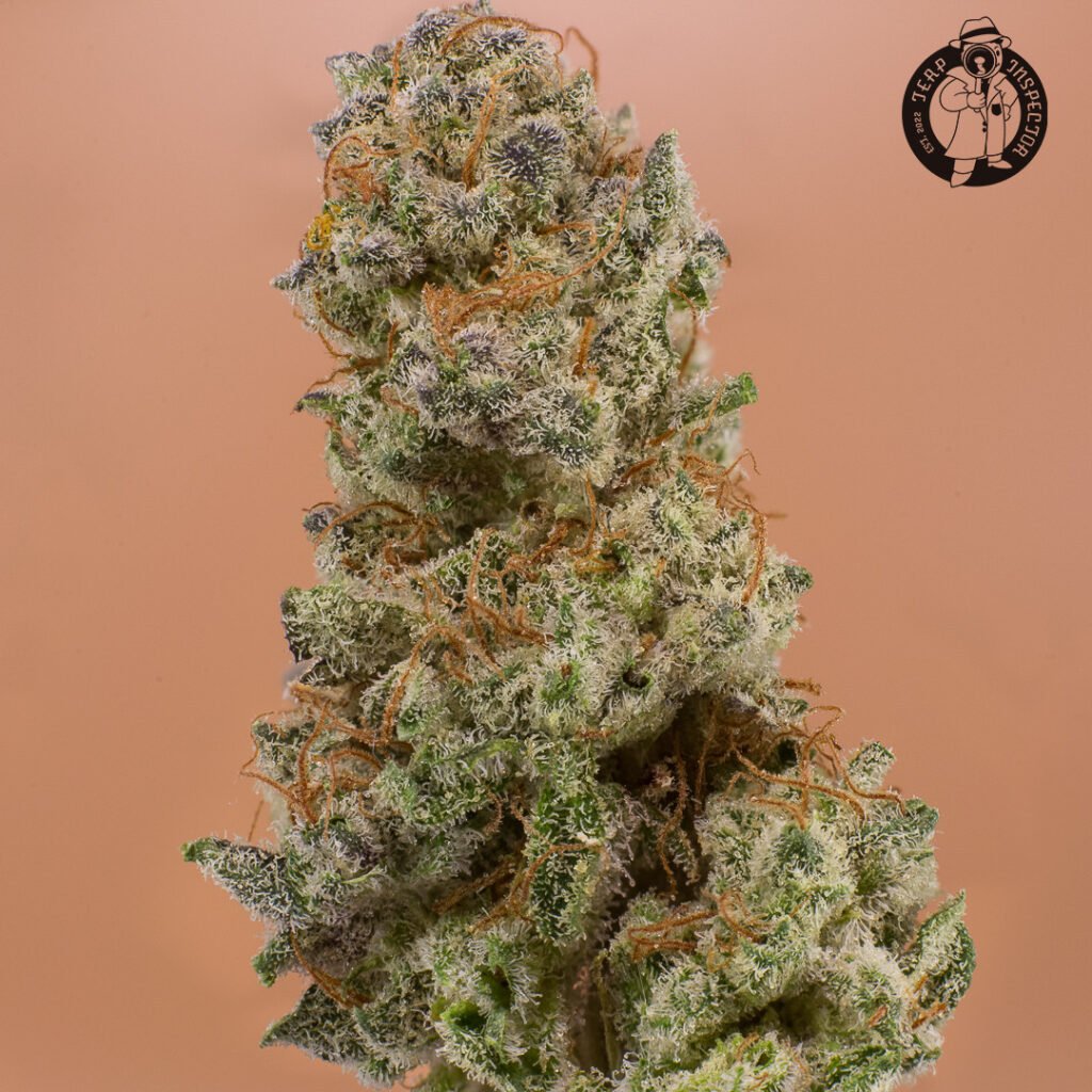 Cannabis Macro Photography