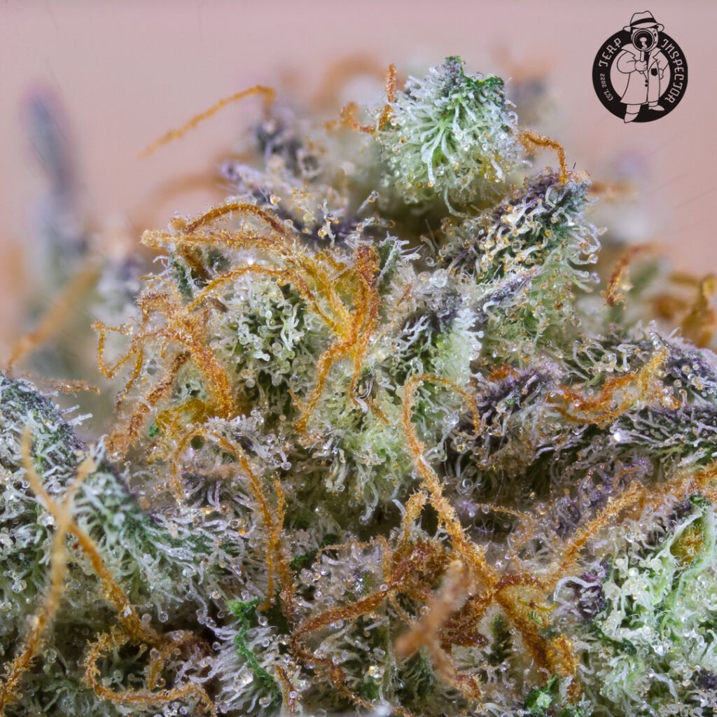 Cannabis Macro Photography