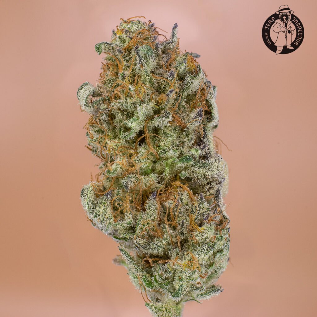 Cannabis Photography
