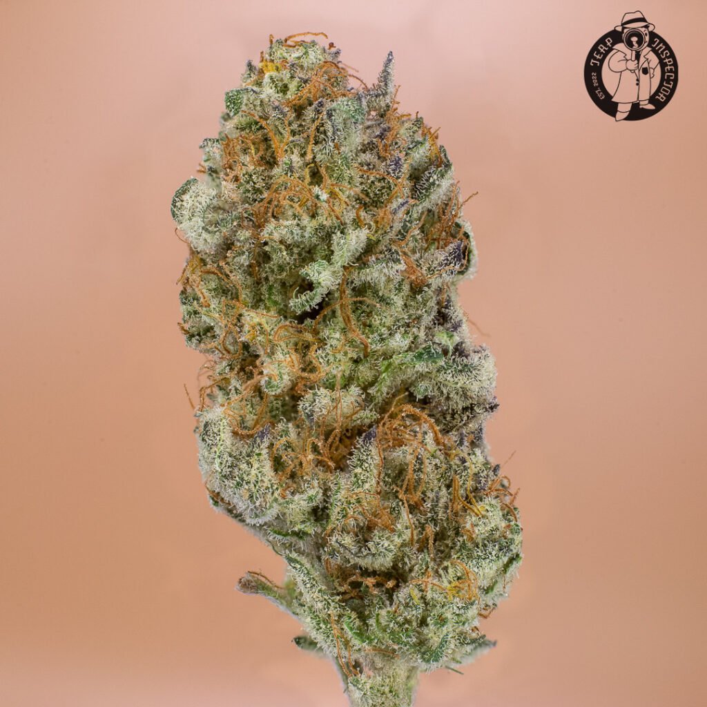 Cannabis Photography