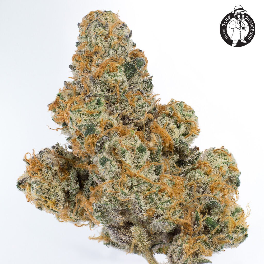 Cannabis Macro Photography Virginia