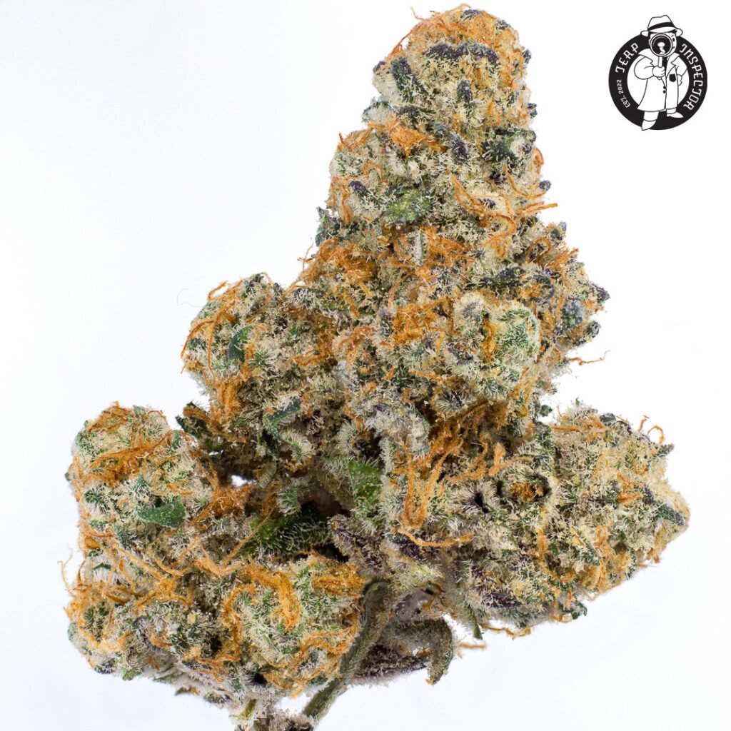 Cannabis Macro Photography Virginia