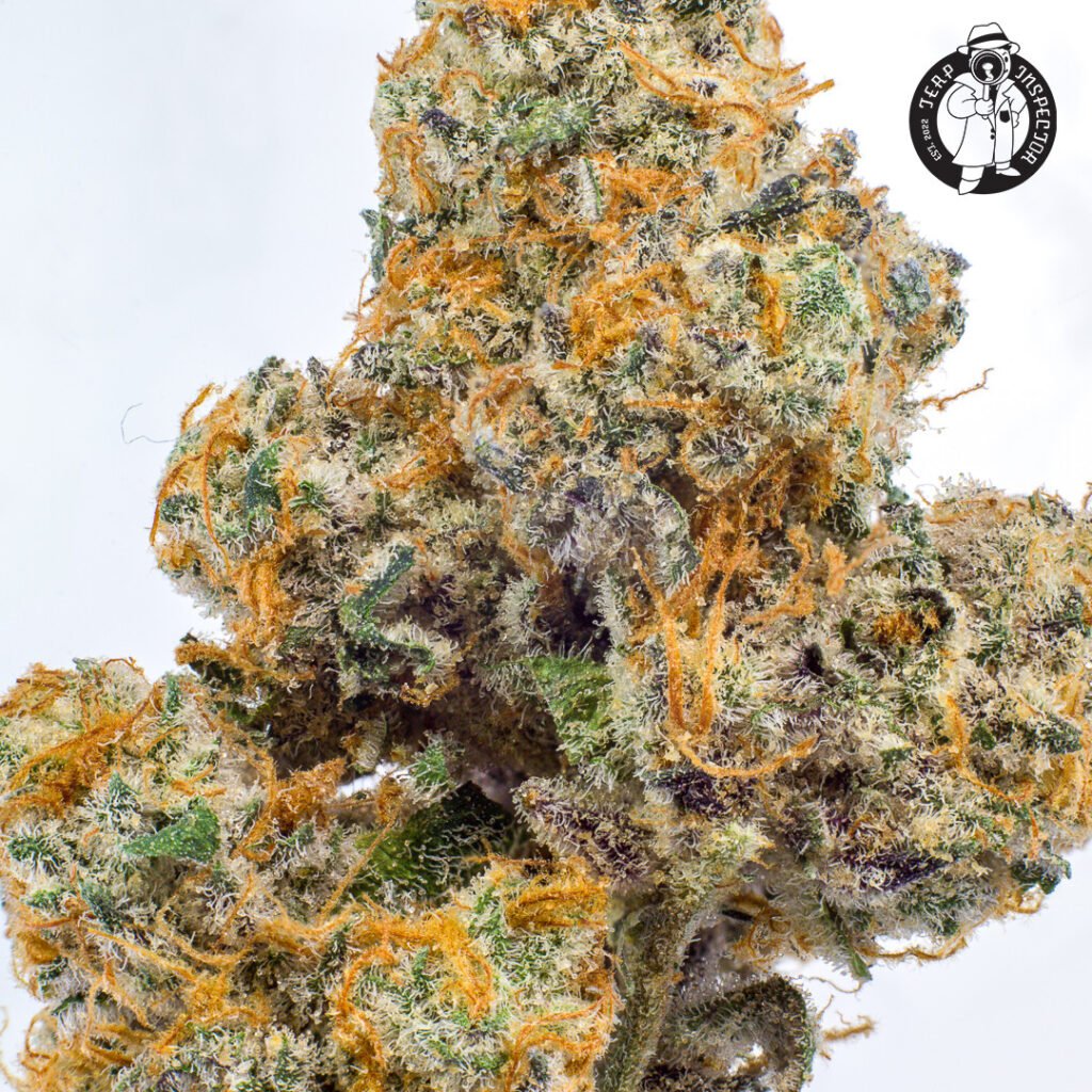 Cannabis Macro Photography Virginia