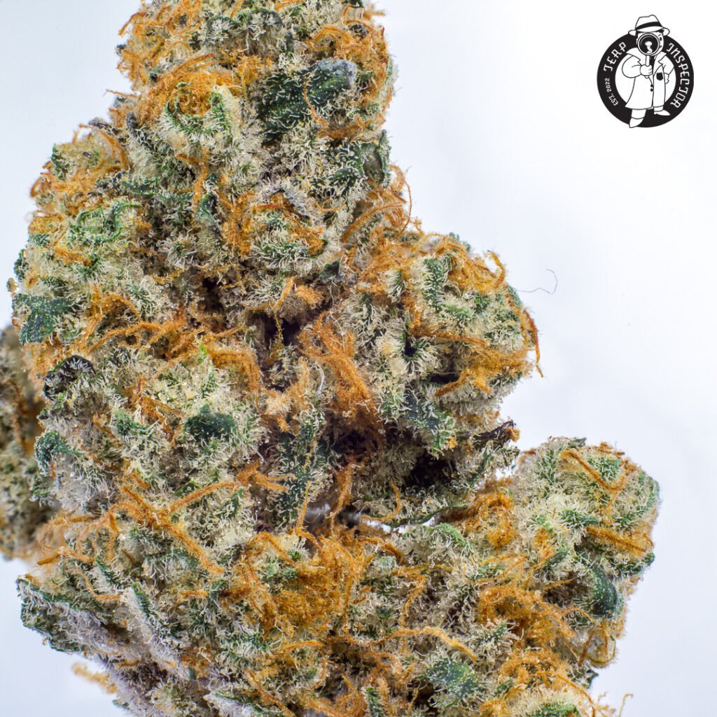 Cannabis Macro Photography Virginia