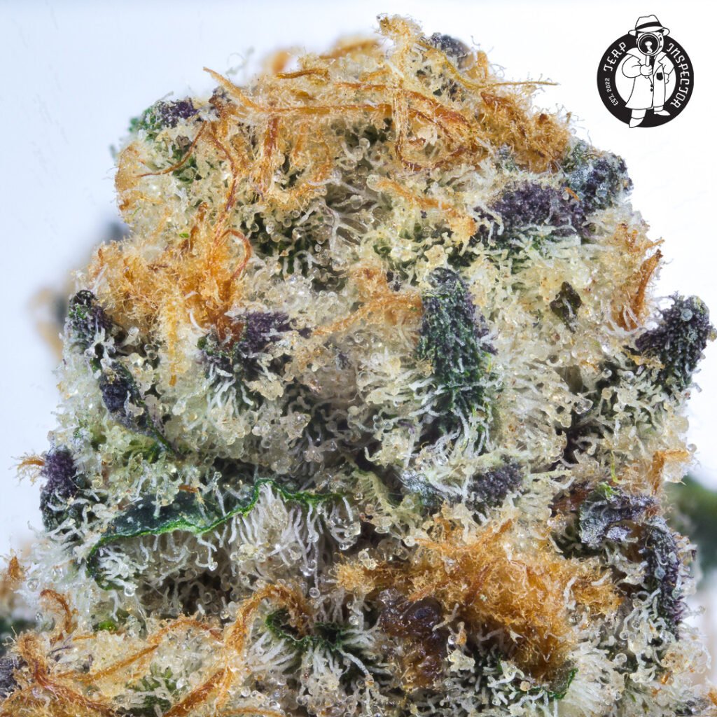Cannabis Macro Photography Virginia