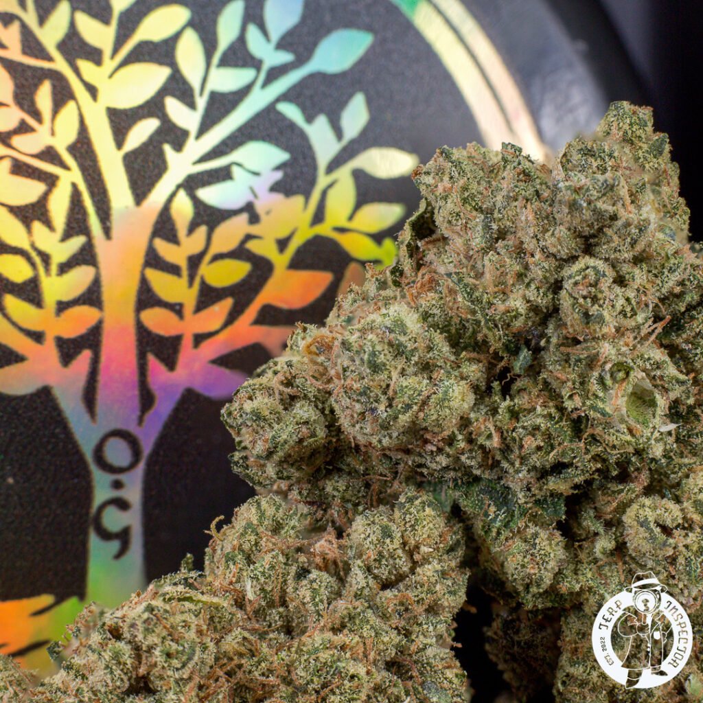 Cannabis Macro Photography Virginia