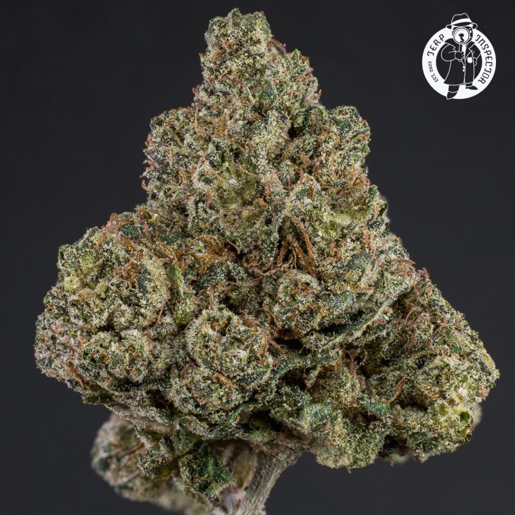 Cannabis Macro Photography Virginia