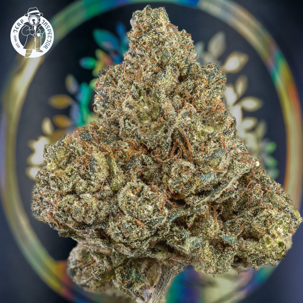 Cannabis Macro Photography Virginia