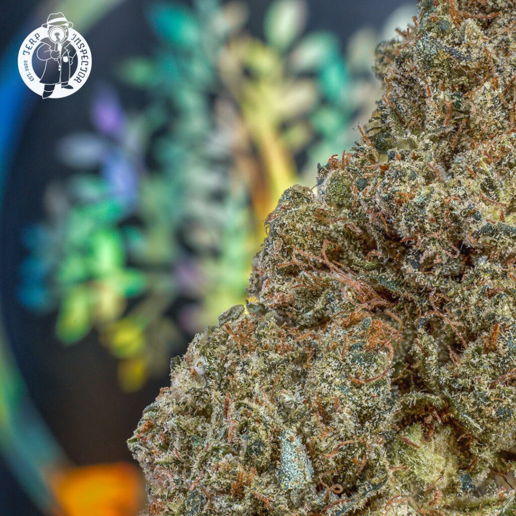 Cannabis Macro Photography Virginia