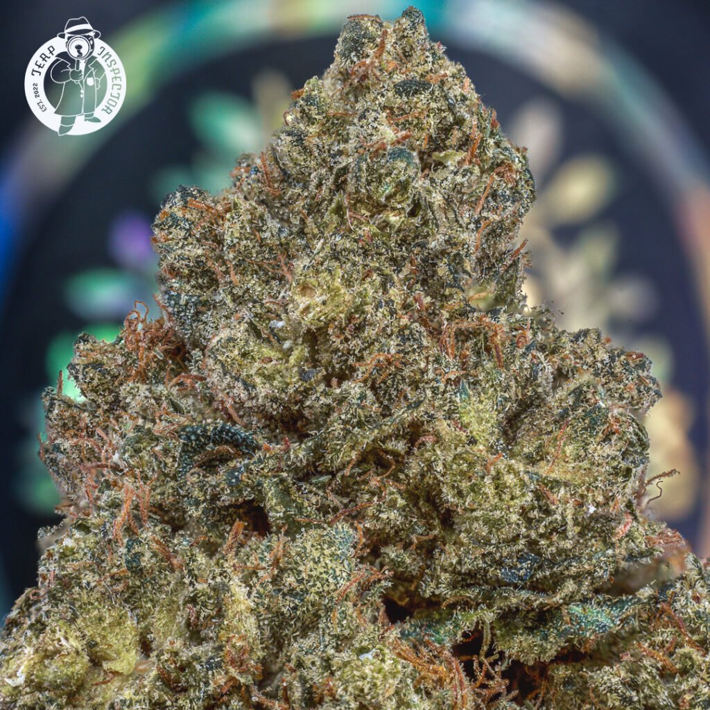 Cannabis Macro Photography Virginia