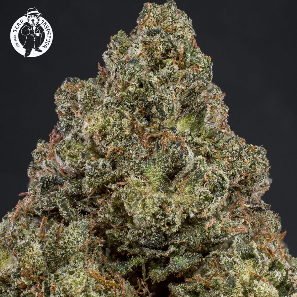 Cannabis Macro Photography Virginia