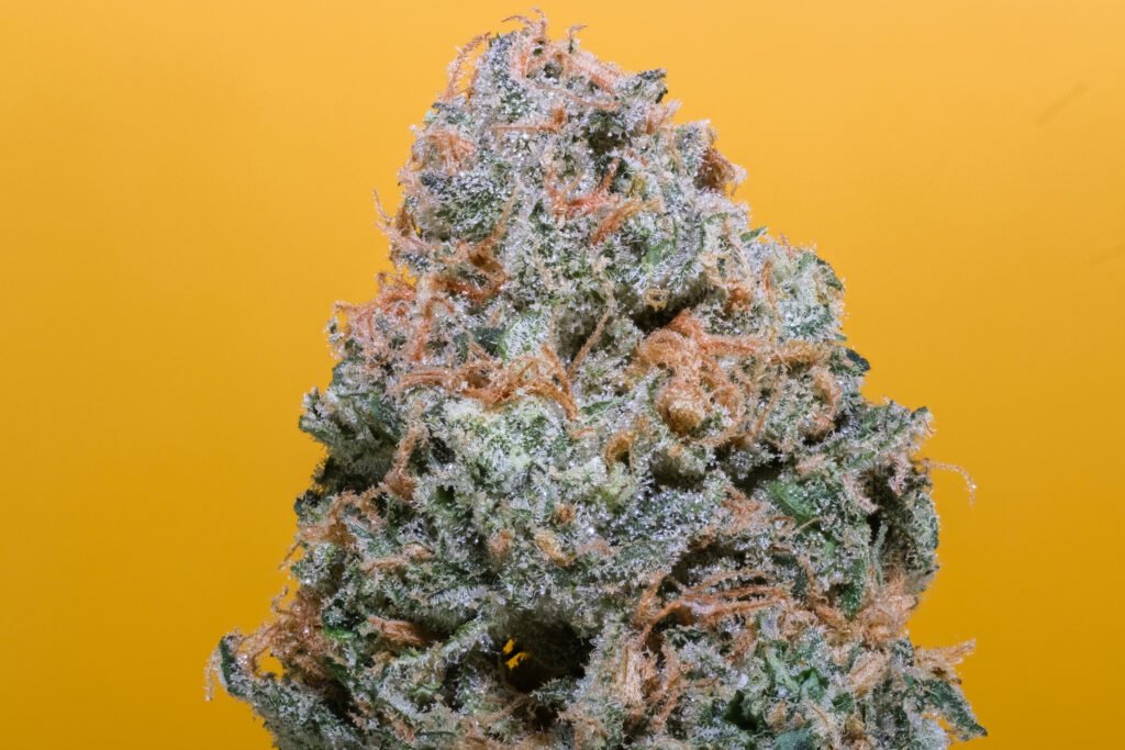 Cannabis Macro Photography