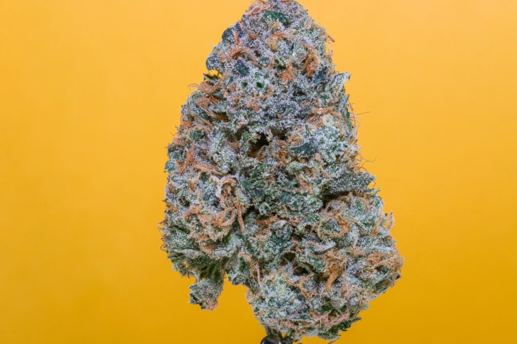 Cannabis Macro Photography