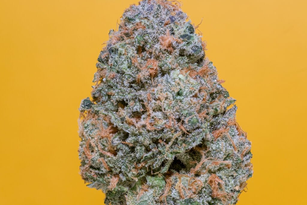 Cannabis Macro Photography