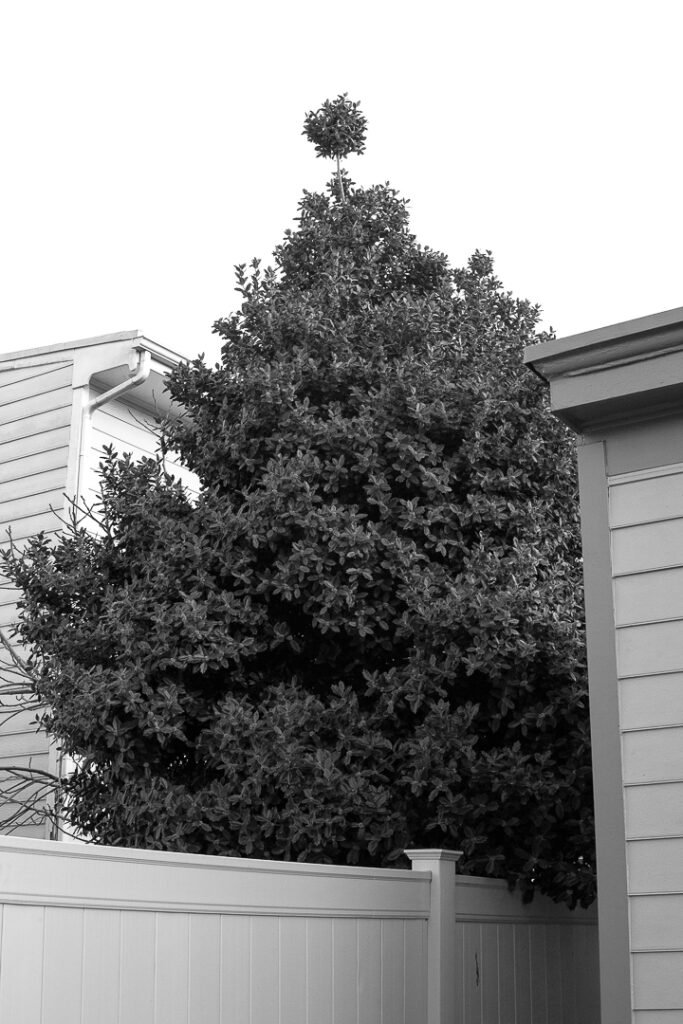 Nature Photography Richmond VA