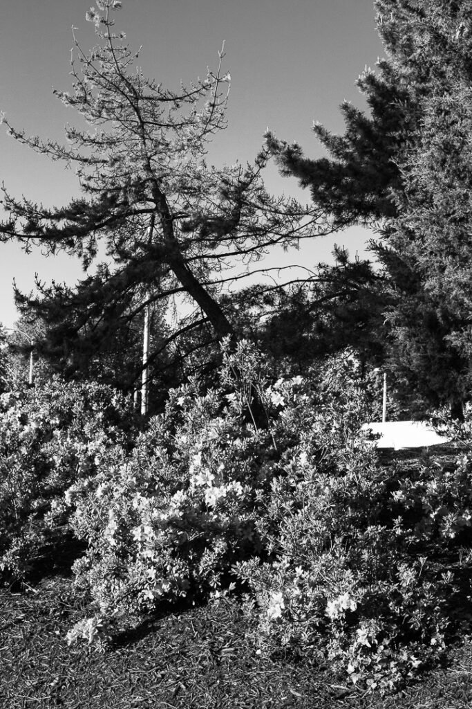 Nature Photography Richmond VA