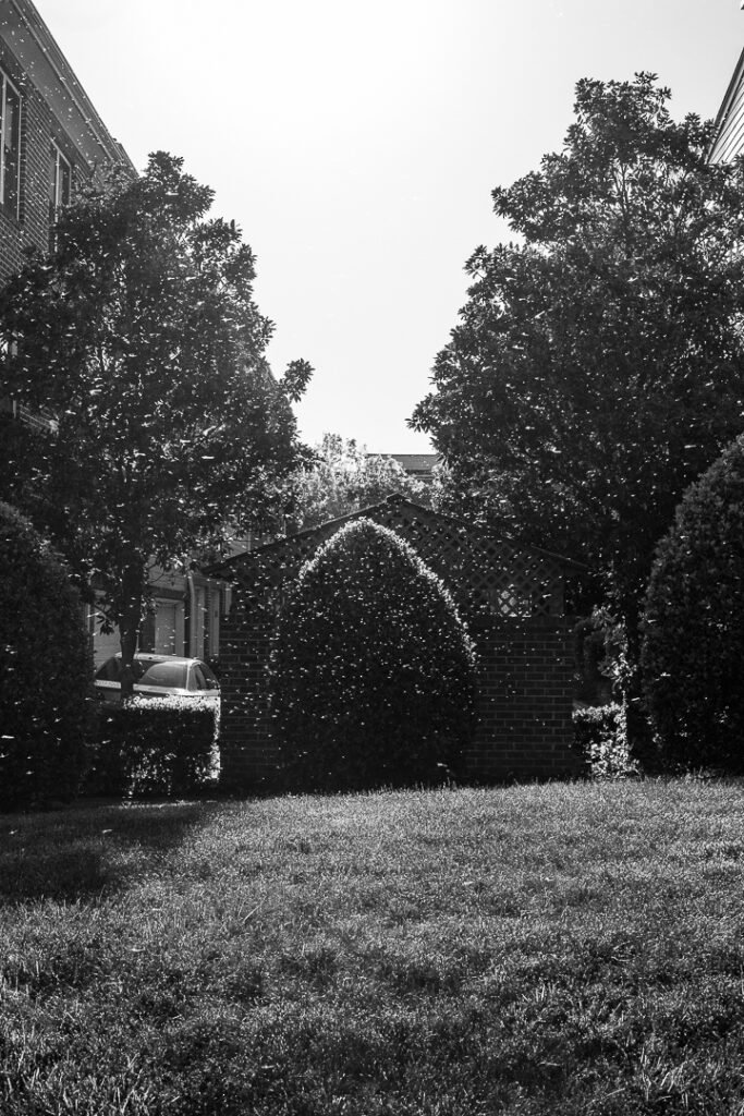 Nature Photography Richmond VA