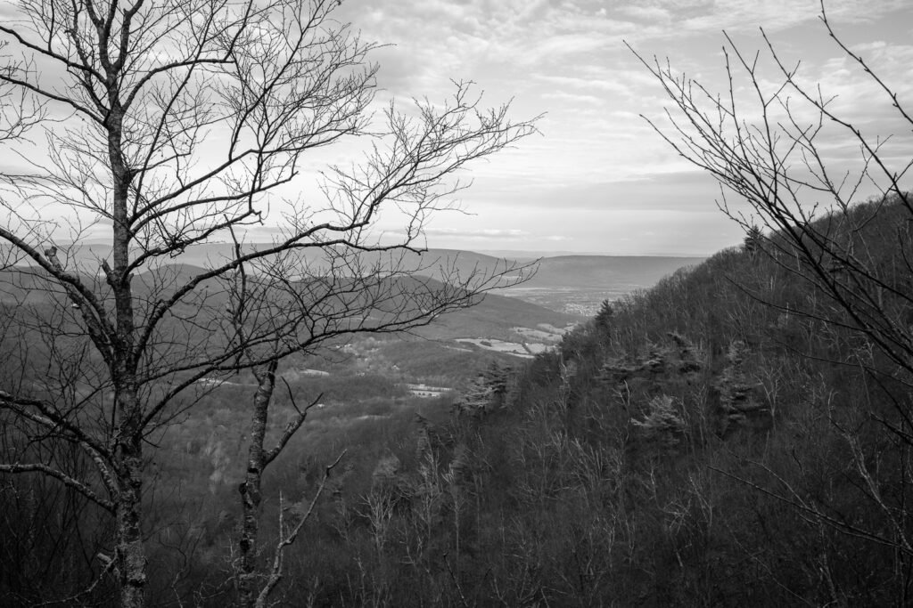 Nature Photography Richmond VA