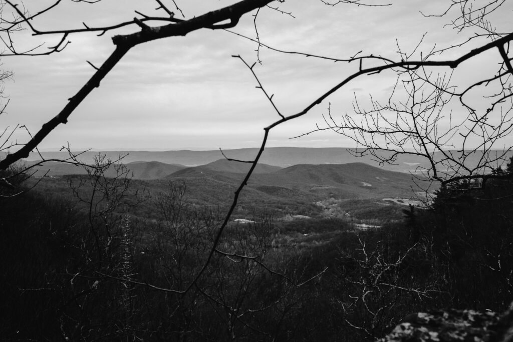 Nature Photography Richmond VA
