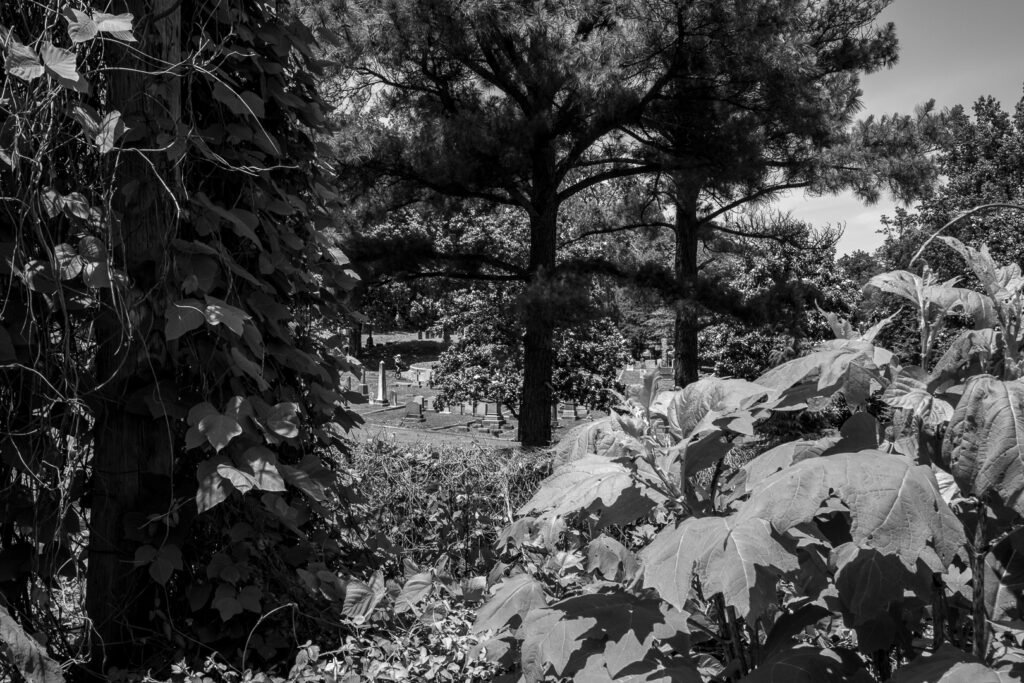 Nature Photography Richmond VA
