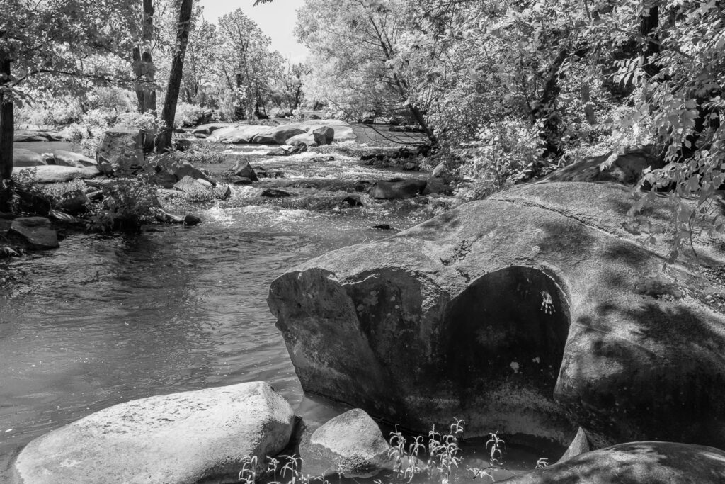 Nature Photography Richmond VA