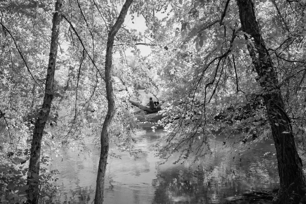 Nature Photography Richmond VA