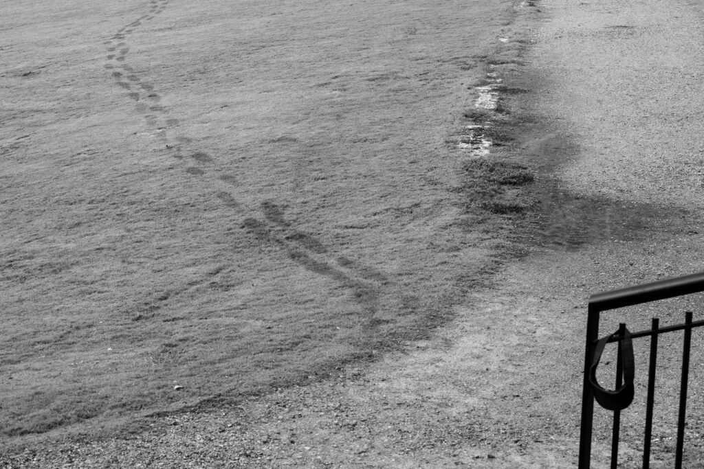 Street Photography Richmond VA