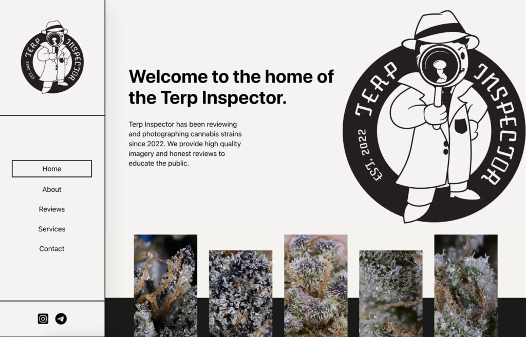 Website Design made by Richmond, VA desiger Tyler Scott